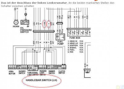 Bild1.jpg