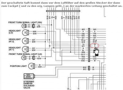 Bild2.jpg