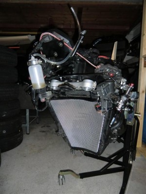 CIMG0054 (Medium).JPG
