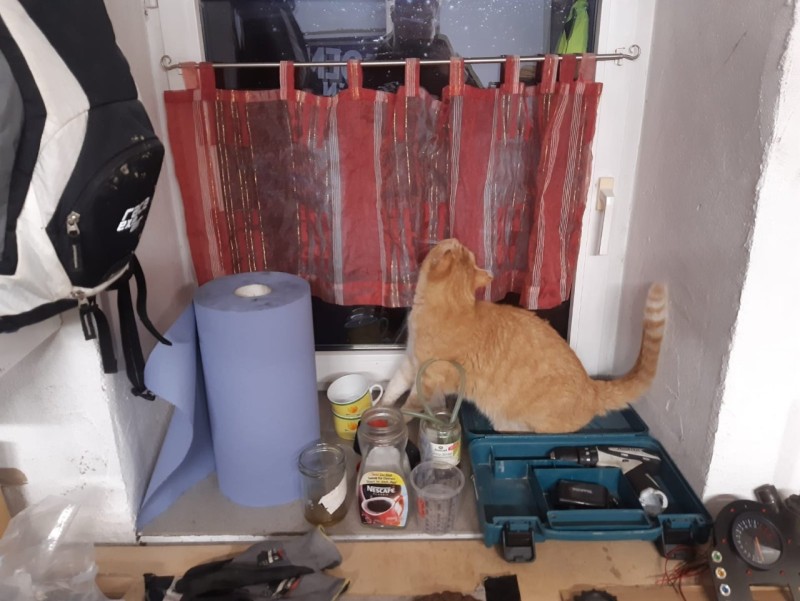 015_008.jpeg