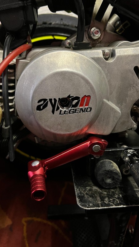 Starter Ayrton.jpeg