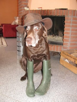 Stiefel in 42 gehen aber auch