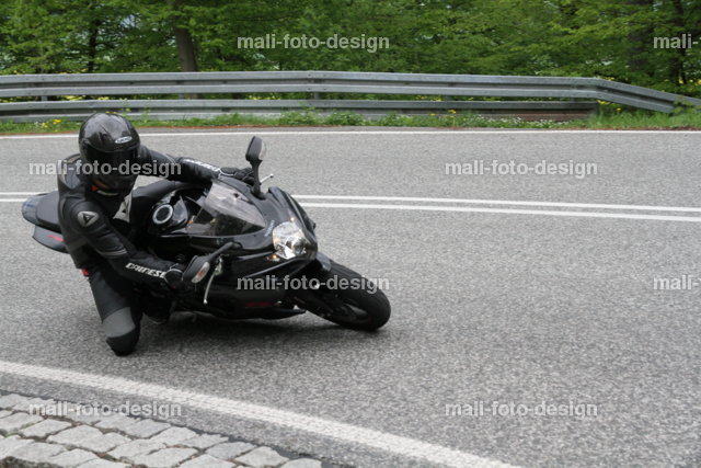 Knie.jpg