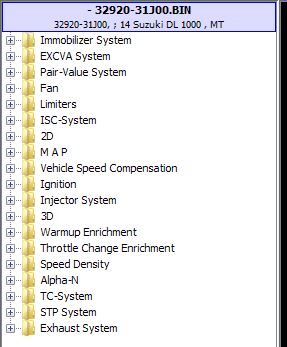 dl1000.JPG