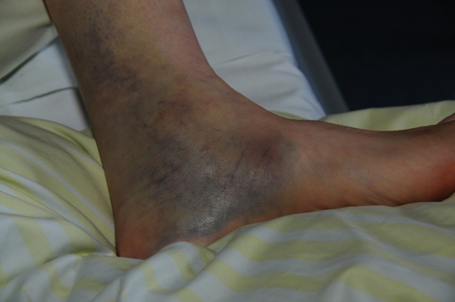 FSH_0151-1.jpg