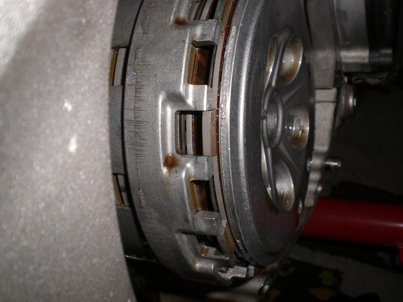 CIMG0481 (Copy).JPG