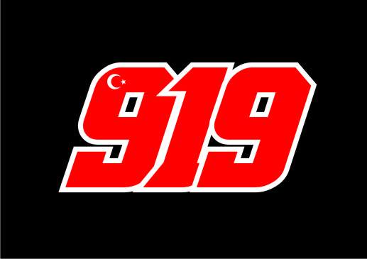 919-e11.jpg